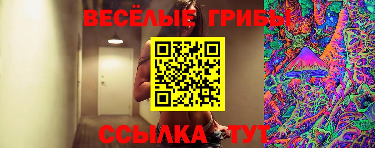 Галлюциногенные грибы Psilocybe Кострома