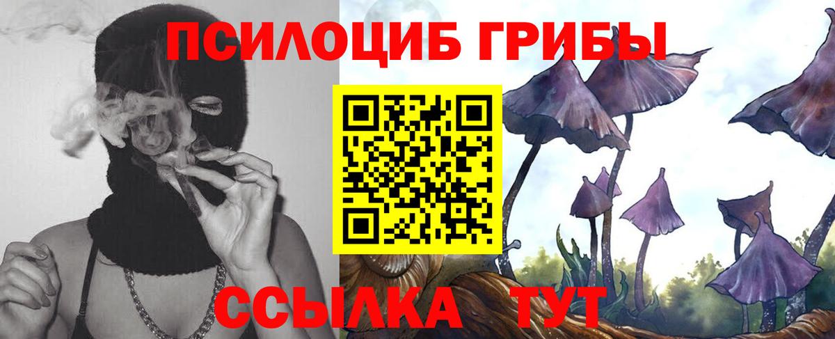 Псилоцибиновые грибы Magic Shrooms  Вход с VPN  Кострома  Галлюциногенные грибы Magic Shrooms 